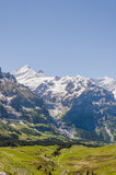 Fototapeta Na sufit - Grindelwald, Berner Oberland, Alpen, Schreckhorn, Grosse Scheidegg, Gletscher, Wanderweg, Bergtal, Sommer, Schweiz