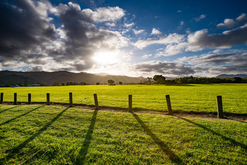 Canvas Print - Green grass field, wooden Fence and mountain on horizon at summer morning. American spring sunrise in Denver Colorado USA