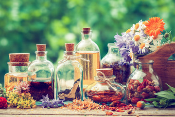 Wall Mural - bottles of tincture and dry healthy herbs