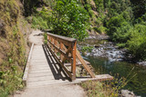 Fototapeta Na ścianę - Wooden Path on a hiking trail by Columbia River Gorge, Oregon.