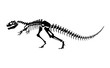 Vector illustration of dinosaur bones. Isolated tyrannosaur skeleton on white background.