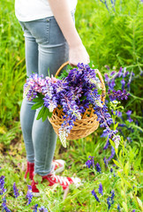 Poster - bouquet of lupine