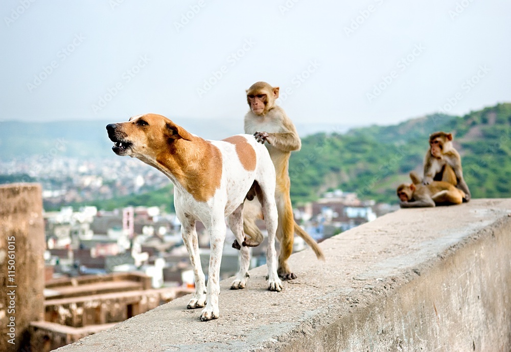 KinoEkaterina 2 порнографиясы