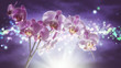 Orchid illuminated backlit