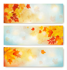 Poster - Three abstract autumn banners with color leaves.