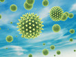 Airborne pollen grain , Hay fever , Pollen allergy