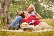 © Diego Cervo - Elderly Couple Senior Man And Woman Doing Picnic