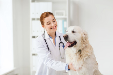 Poster - happy doctor with retriever dog at vet clinic