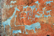 Bushman Rock Engravings