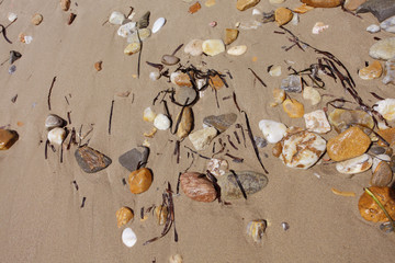 Vourvourou beach, Sithonia, Chalkidiki, Greece, Sand, texture