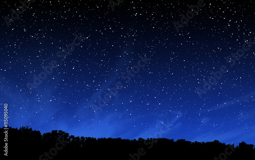 Deep night sky with many stars and forest