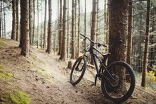 Mountain Bike Parked In Forest