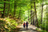Fototapeta  - Spaziergang im Wald