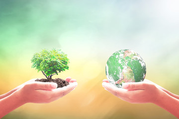 earth day concept: two human hand holding blue earth globe and heart shape of tree. elements of this