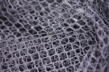 fishnet