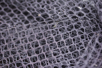 fishnet