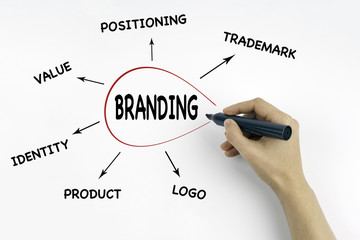 Wall Mural - hand with marker writing: branding, business concept