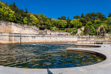 Wall Mural - Nîmes, jardin de la fontaine.