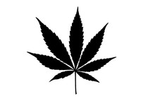 Silhouette Of Cannabis Leaf On White Background