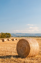 Straw Bales In The Plain Of Catania, Sicily
