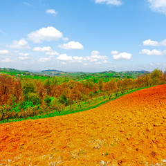 Sticker - Fields and Groves