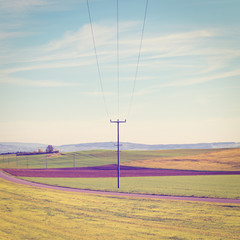 Canvas Print - Power Line