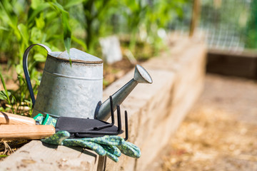 Wall Mural - Gardening