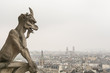 Gargoyle over paris at Notre Dame on an overcast day