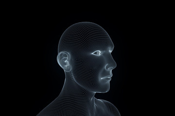 Wall Mural - Male Human 3D Wireframe Hologram in Motion. Nice 3D Rendering
