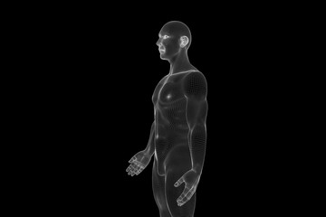Wall Mural - Male Human 3D Wireframe Hologram in Motion. Nice 3D Rendering
