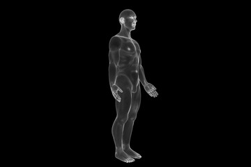 Wall Mural - Male Human 3D Wireframe Hologram in Motion. Nice 3D Rendering

