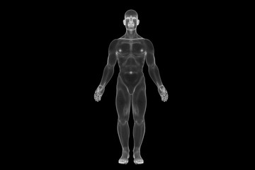Wall Mural - Male Human 3D Wireframe Hologram in Motion. Nice 3D Rendering
