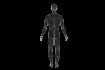 Wall Mural - Male Human 3D Wireframe Hologram in Motion. Nice 3D Rendering
