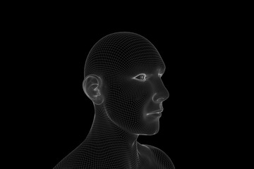 Wall Mural - Male Human 3D Wireframe Hologram in Motion. Nice 3D Rendering
