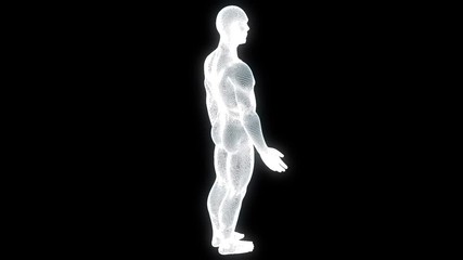 Wall Mural - Male Human 3D Wireframe Hologram in Motion. Nice 3D Rendering
