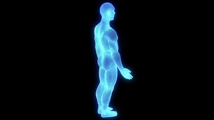 Wall Mural - Male Human 3D Wireframe Hologram in Motion. Nice 3D Rendering
