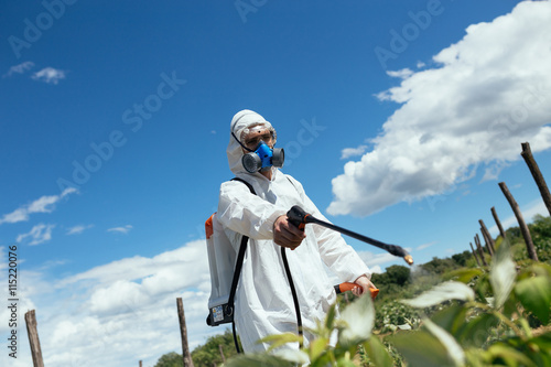 Fotografía Man spraying toxic pesticides or insecticides on fruit growing plantation