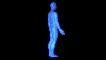 Wall Mural - Male Human 3D Wireframe Hologram in Motion. Nice 3D Rendering
