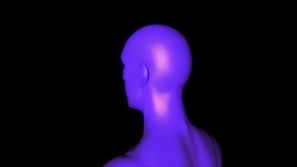 Wall Mural - Male Human 3D Wireframe Hologram in Motion. Nice 3D Rendering
