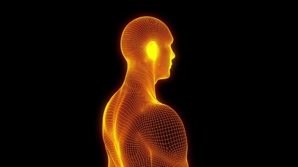 Wall Mural - Male Human 3D Wireframe Hologram in Motion. Nice 3D Rendering
