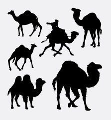 Wall Mural - Camel and dromedaries animal silhouette. Good use for symbol, logo, web icon, mascot, element, sticker design, or any design you want.