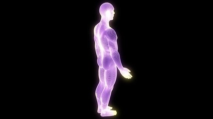Wall Mural - Male Human 3D Wireframe Hologram in Motion. Nice 3D Rendering
