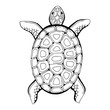 Turtle animal graphic black white isolated illustration vector