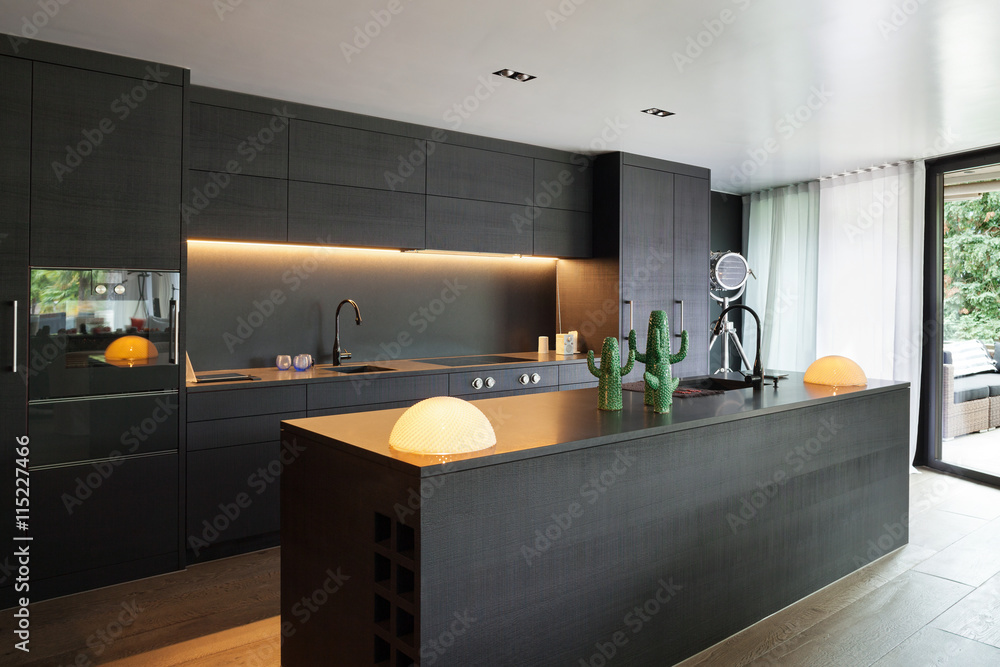 Obraz na płótnie Interior, Modern kitchen w salonie