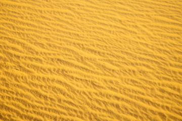  africa  brown sand dune