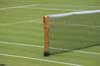 Wooden net post on grass court at Wimbledon