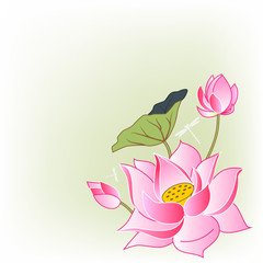 Wall Mural - pink lotus flowers