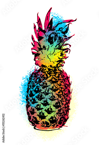 Fototapeta na wymiar Kolorowy egzotyczny ananas