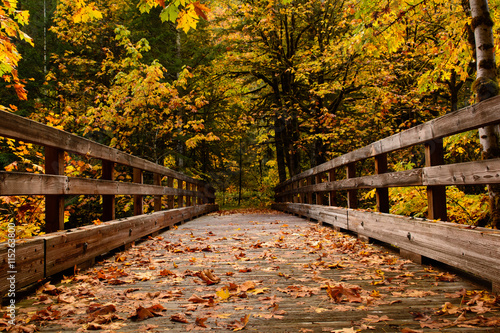 Bridge to Unknown