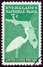 Great Blue Heron And Map Of Florida (USA 1947)